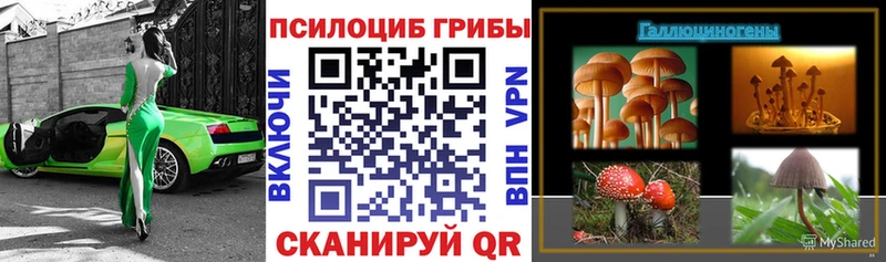 где можно купить   Чапаевск  Галлюциногенные грибы GOLDEN TEACHER 